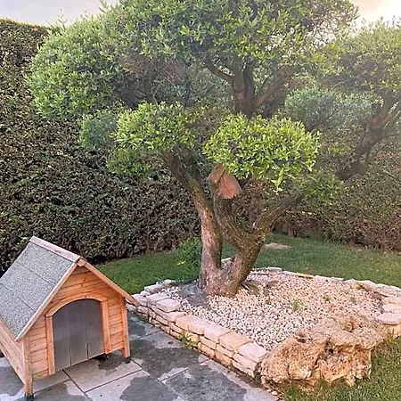 فندق مبيت وإفطار Wooden House 4*